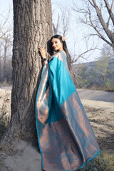 Firozi Colour Saree With Heavy Brocade Blouse