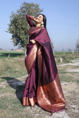 Wine Colour Saree With Heavy Brocade Blouse