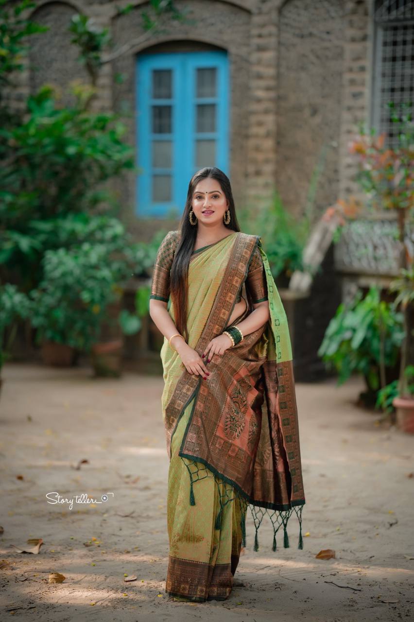 Light Green Colour Saree Comes With Heavy Brocade Blouse