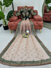 Elegant Peach Designer Saree in Twil Net with Thread & Sequin Work