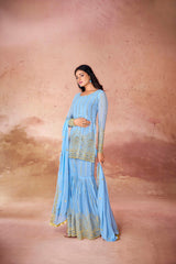 Sky Blue Sequin Embroidered Georgette Sharara Set with Dupatta | Ready to Wear | Sizes XS-XXL